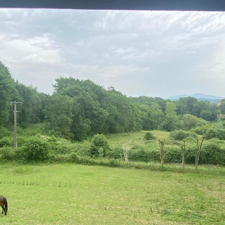 Appartement Dans Belle Maison Basque Mouguerre المظهر الخارجي الصورة