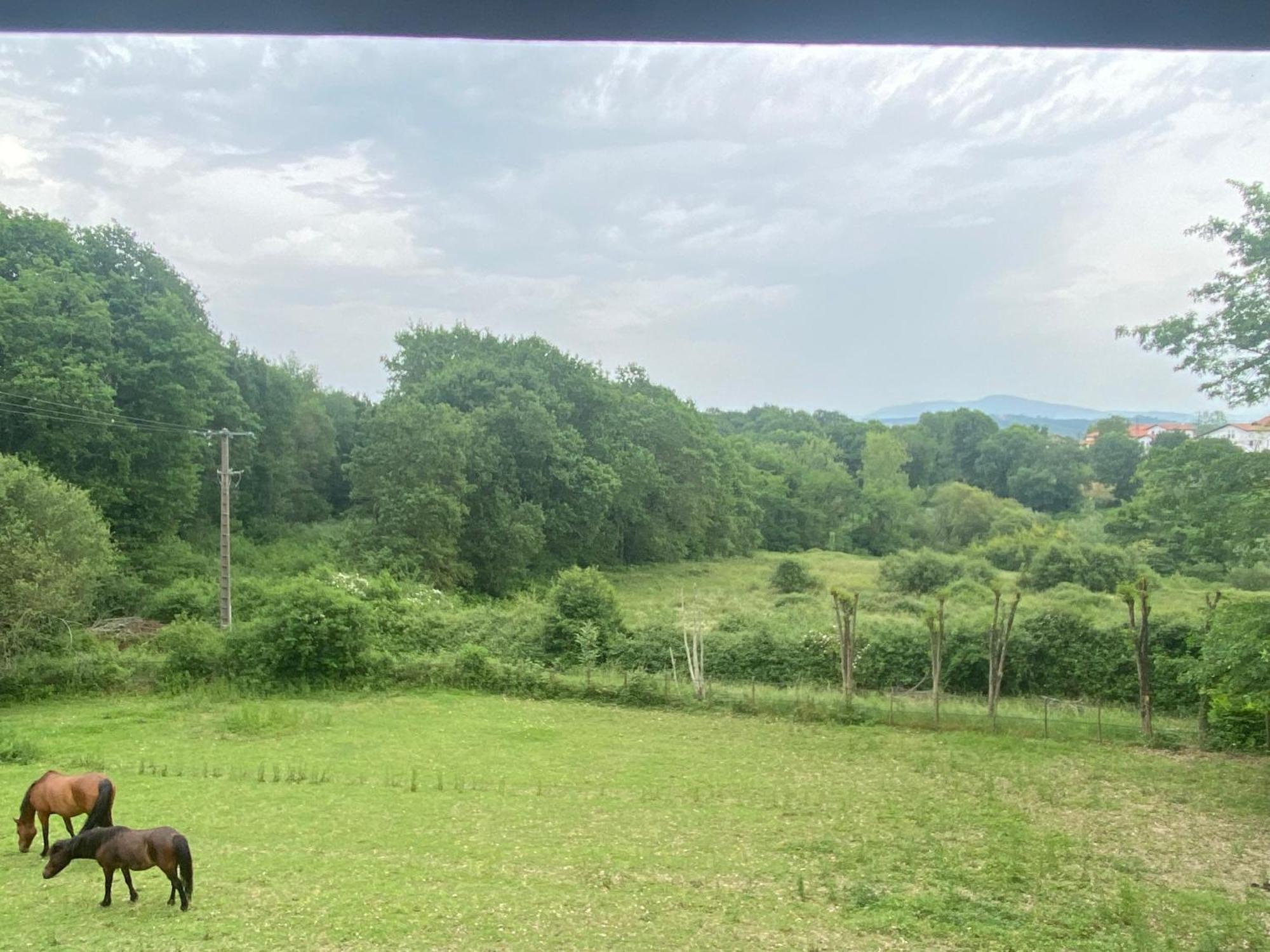 Appartement Dans Belle Maison Basque Mouguerre المظهر الخارجي الصورة